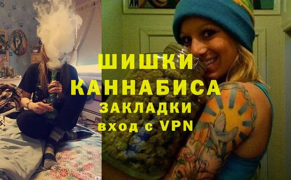 бошки Козельск