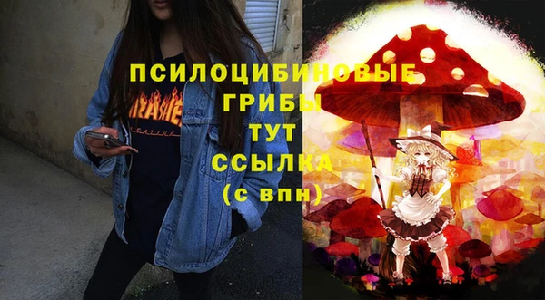 дурь Кодинск