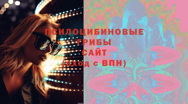 дурь Кодинск