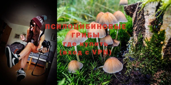 дурь Кодинск